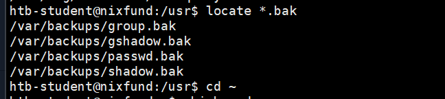 image-20250323202601831